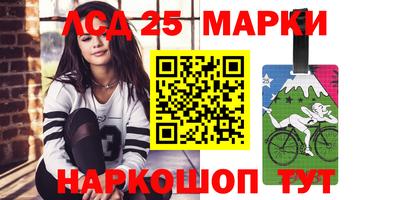 гидропоника Пенза