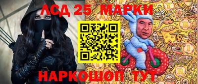 гидропоника Пенза